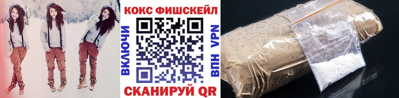 COCAIN FishScale  сайты даркнета наркотические препараты  Невьянск  купить закладку 