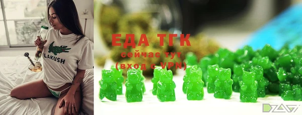 спиды Гусев