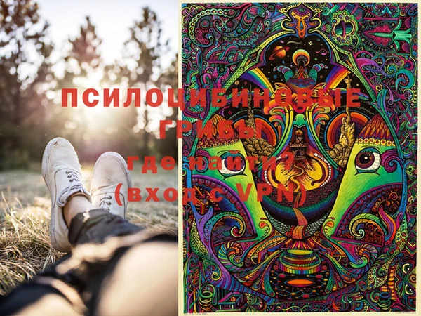 спиды Гусев