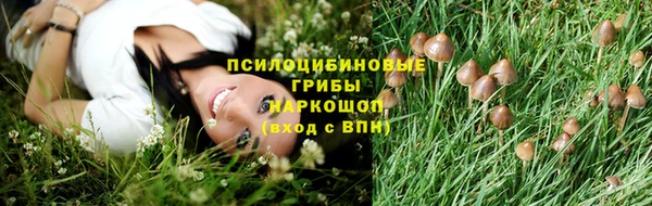 бошки Гусь-Хрустальный