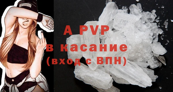 спиды Гусев