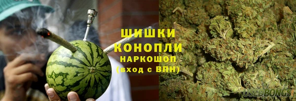 спиды Гусев