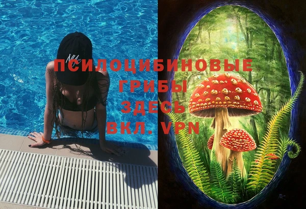 спиды Гусев