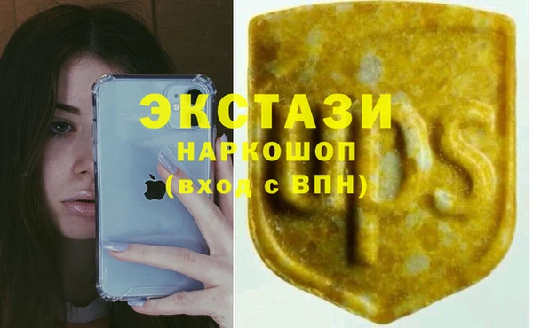 спиды Гусев
