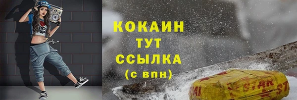спиды Гусев