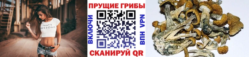 кракен зеркало  Невьянск  Галлюциногенные грибы мухоморы 